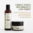 Shampoo + Creme Regenerador BAH